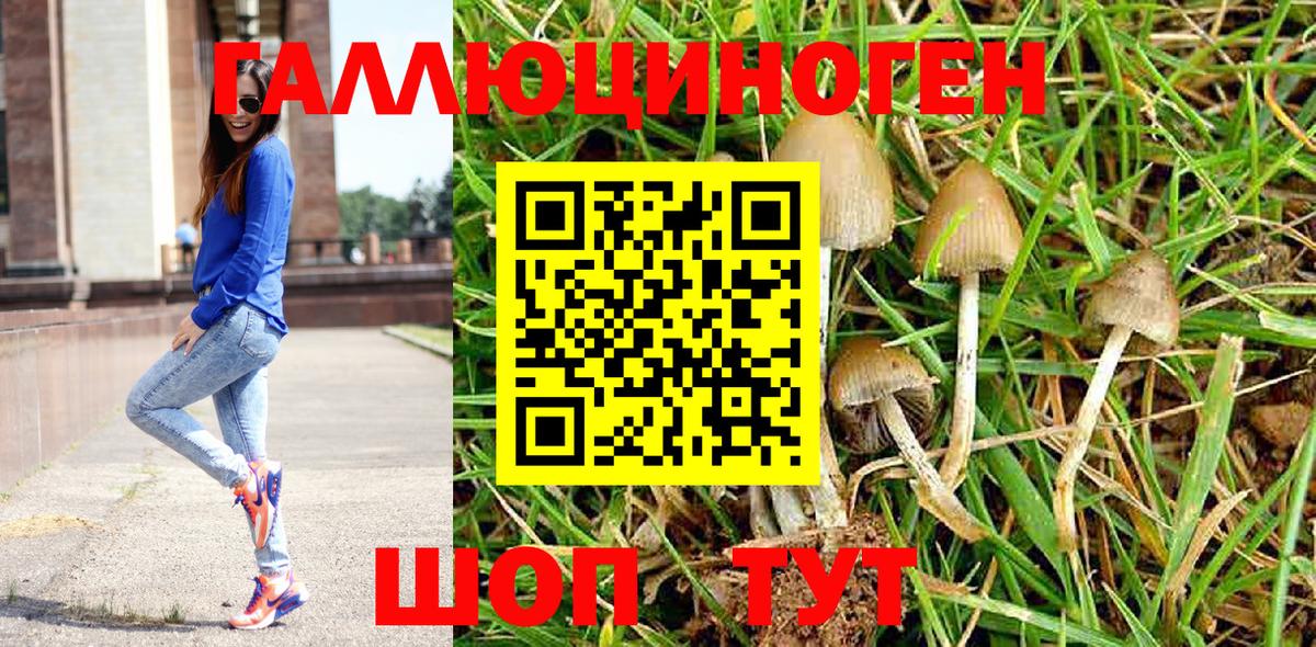 Каменск-Уральский  Галлюциногенные грибы MAGIC MUSHROOMS  Вход с VPN 